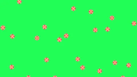 4K video Footage with flowers pattern. Footage flower rain. Flowers falling down Stock Footage 294541109