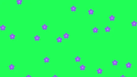 4K video Footage with flowers pattern. Footage flower rain. Flowers falling down Stock Footage 294541313