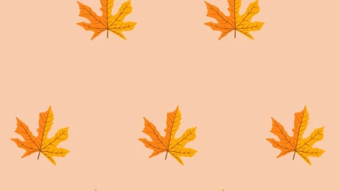 4K video Footage with leaf pattern. Leaf autumn spinning and falling down Stock Footage 274393276