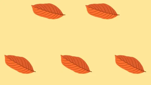4K video Footage with leaf pattern. Leaf autumn spinning and falling down Stock Footage 274393282