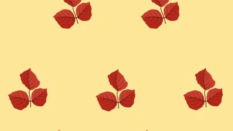 4K video Footage with leaf pattern. Leaf autumn spinning and falling down Stock Footage 274393292