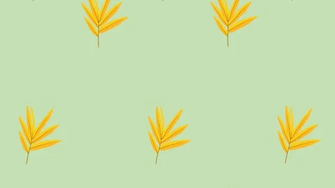 4K video Footage with leaf pattern. Leaf autumn spinning and falling down Stock Footage 274393300