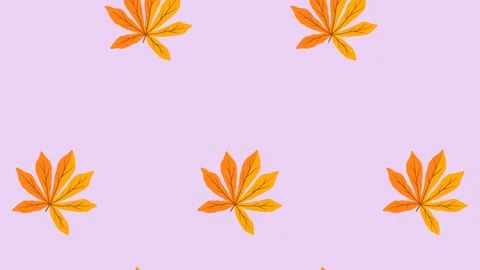 4K video Footage with leaf pattern. Leaf autumn spinning and falling down Stock Footage 274393301