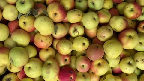 4k video of group of apples in a local market. Food and fruit concept. Stock Footage 262449838
