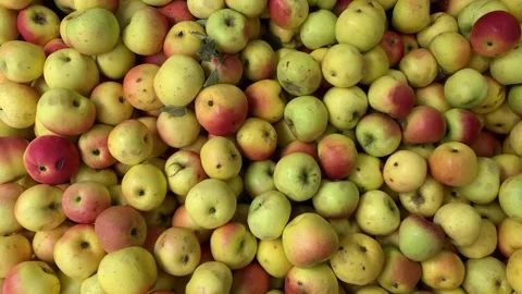 4k video of group of apples in a local market. Food and fruit concept. Stock Footage 262449845