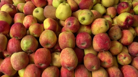 4k video of group of apples in a local market. Food and fruit concept. Stock Footage 262449892