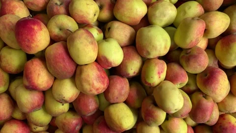 4k video of group of apples in a local market. Food and fruit concept. Stock Footage 262450358