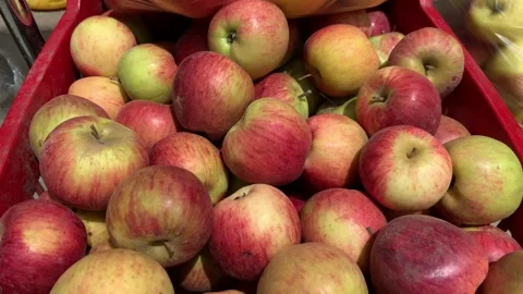 4k video of group of apples in a local market. Food and fruit concept. Stock Footage 262450406