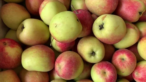 4k video of group of apples in a local market. Food and fruit concept. Stock Footage 262451160