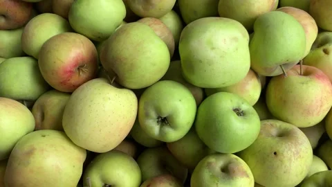 4k video of group of green apples in a local market. Food and fruit concept. Stock Footage 262450408