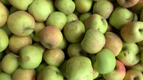 4k video of group of green apples in a local market. Food and fruit concept. Stock Footage 262450885