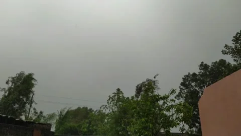 4k Video of heavy rain fall during rainy season. Stock Footage 245533058