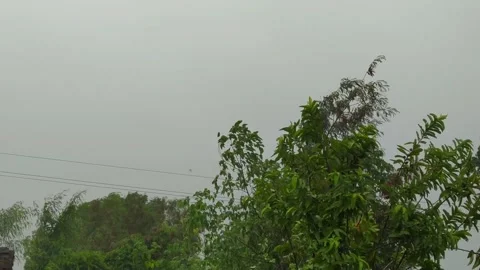 4k Video of heavy rain fall during rainy season. Stock Footage 245533085