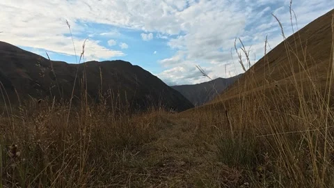 4k video of a hiker walking forward through a grassy path in Juta valley, G.. Stock-Footage 338239797