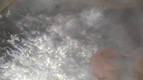4K Video of hot spring and people prepare their rice there. Stock-Footage 331700422