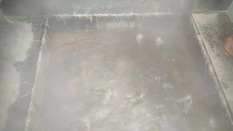 4K Video of hot spring and people prepare their rice there. Stock Footage 331700425