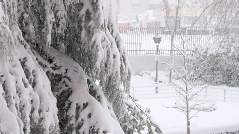 4K video of a huge snowfall Stock Footage 146276851