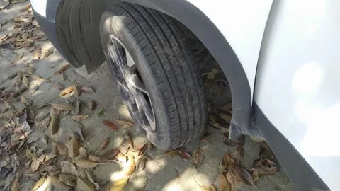 4K Video of leafs in a parking area. Video stock 325787024