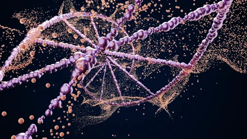 4k video of a light pink DNA chain on a black background with pink shining light Stock Footage 211876199