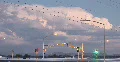 4K Video - monsoon storm front wakes up at dusk timelapse - 9 4k or 4k+ Resolution