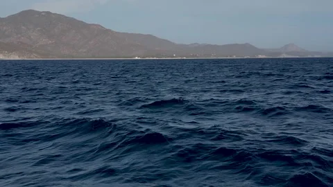 4k video of Munk's Devil Rays aka Mobula Rays (Mobula munkiana) jumping 스톡 동영상 280501374