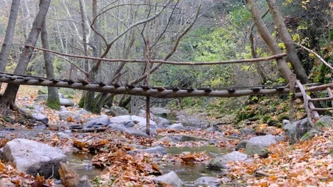 4k video of nature of flow of river and small pond Stock-Footage 166715950