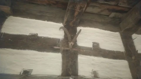 4K Video of old architecture bird engrave in a temple. Video stock 331304755