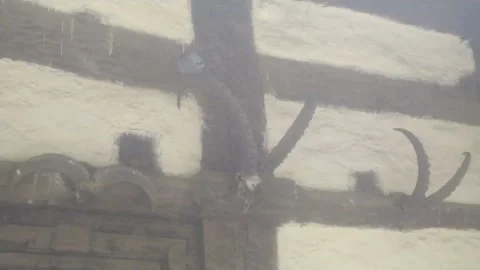 4K Video of old architecture bird engrave in a temple. Video stock 331304866