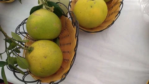 4K Video of Orange  fruit. Video stock 294582947