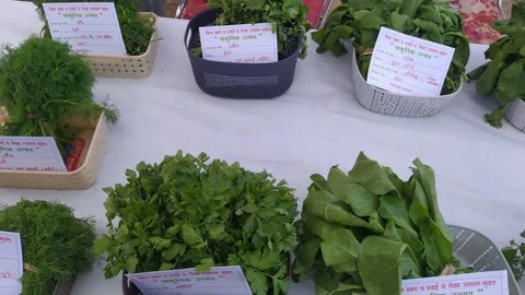 4K Video of organic vegetables. Stock Footage 294700838