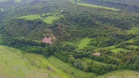 4k video panoramic view of green trees from drone Stock Footage 150966361