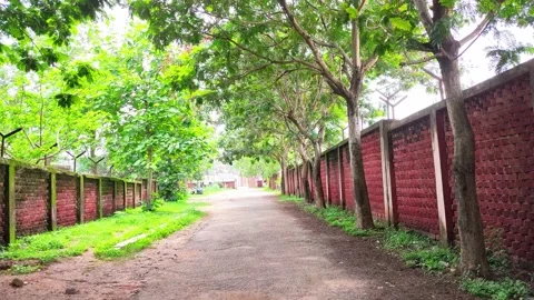 4K video of the path between the park's natural environment with trees. Stock Footage 156816596