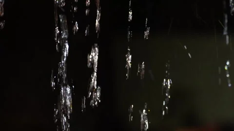 4K video of rain falling at night, illuminated by backlight. Raindrops visible Stock Footage 317950650