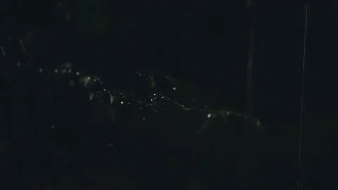 4K video of rain falling at night, illuminated by backlight. Raindrops visible Stock Footage 317950826
