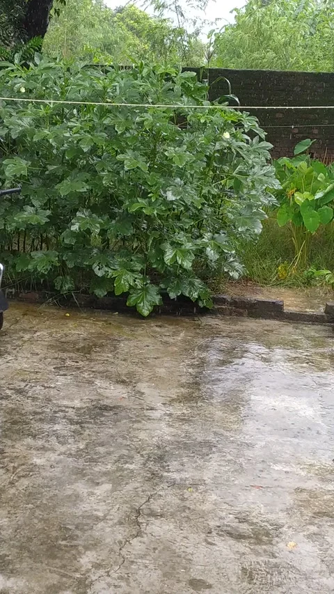 4K video of rain in the home. Video stock 138316281