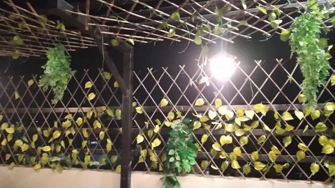 4K Video of  a restaurant. Stock Footage 295784960