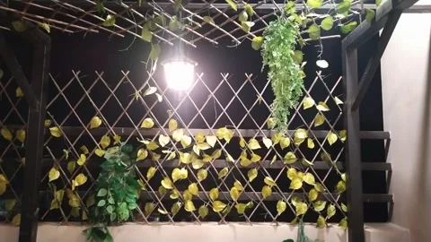 4K Video of  a restaurant. Stock Footage 295784985