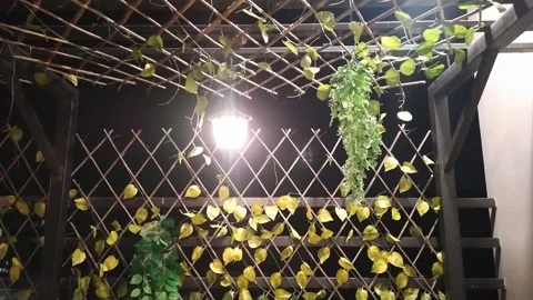 4K Video of  a restaurant. Stock Footage 295784988