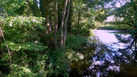 4K video of River Bela Flowing through tree lined bankings Stock Footage 132023745