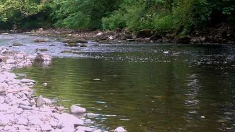 4K Video of river gentle cascading over stones in Cumbria Stock Footage 132141484