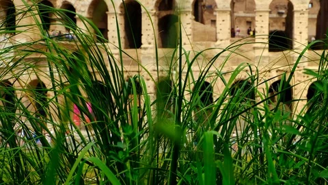 Hd Xxxxx Stock Videos – Royalty-Free HD & 4K Videos