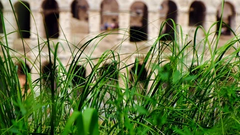 Hd Xxxxx Stock Videos – Royalty-Free HD & 4K Videos