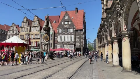 4K video, Sea sunset with dramatic cloud in the sky and  a bird flying through Video stock 244932288