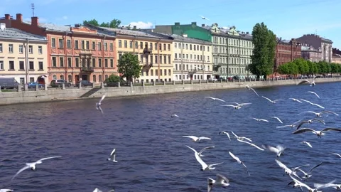 4k video. Seagulls fly over the river in St. Petersburg Stock Footage 155649262