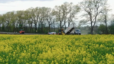 4K video. Side view of road works with asphalt paver Stock Footage 130200439