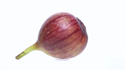 4K video of a single fig rotating on a white background. Video stock 309511369