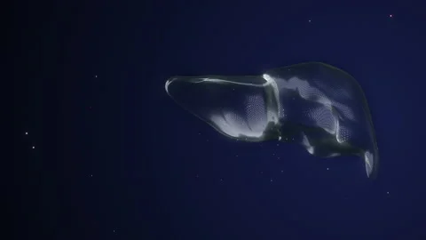 4k video of solar panel installation as alternative electricity source. Stock Footage 143095951