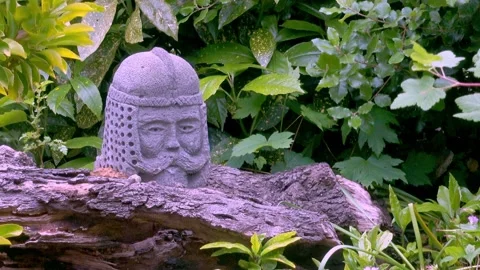 4K video of a stone head of a viking in a garden Stock Footage 132014365