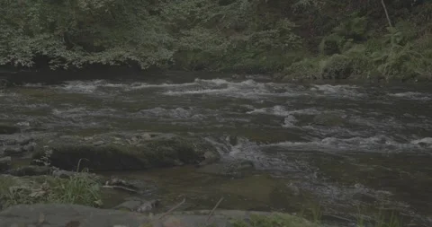 4k video of stream VLOG version 24fps slightly over 1min Stock Footage 274101358