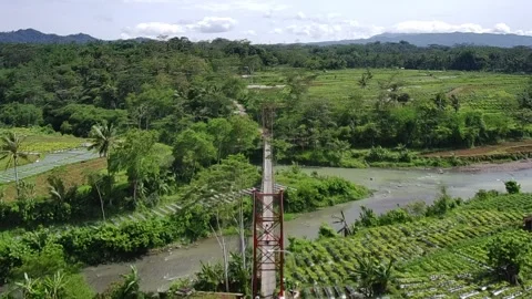 4k video of the suspension bridge connecting villages with views of rice fields Stock Footage 293605992